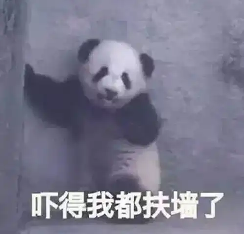国宝熊猫表情包合集大哥,给口饭吃吧