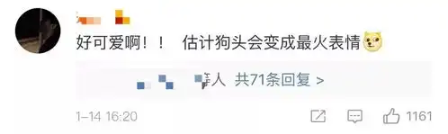 沸腾了刷屏了十款微信表情包上新,内附手动更新方法