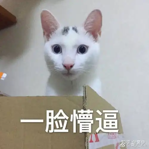 大家的猫是否喜欢躲在抽屉里睡觉没错,出了问题外,我还想骗表情包