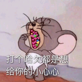 蔡徐坤篮球gif表情包猫