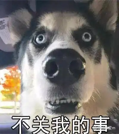 买收藏夹