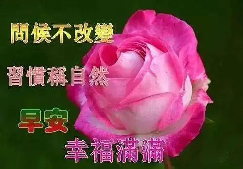 问候表情包小暑群发