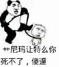 斗图软件有哪些微信斗图表情包微信斗图软件微信斗图app有哪些清风手游网