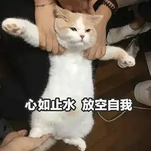 躲门后偷看的表情包主子