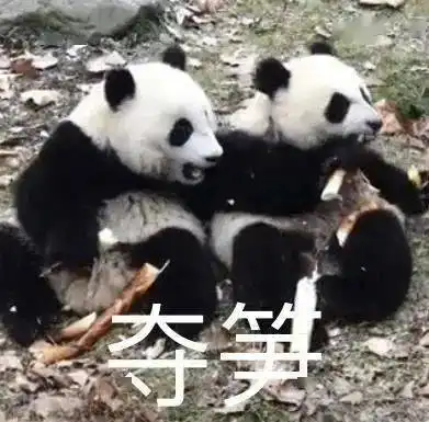 有内鬼,抓紧收图