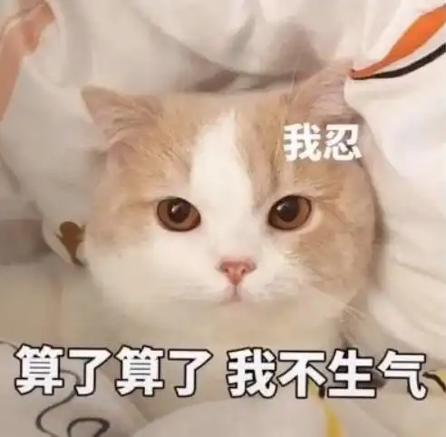 养猫之后,最讨厌听到这些话