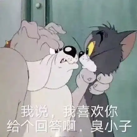 表情包今天有没有喜欢我呀