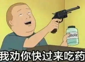 求一个美国恶搞动漫的名字经常看见做表情包,特别想看