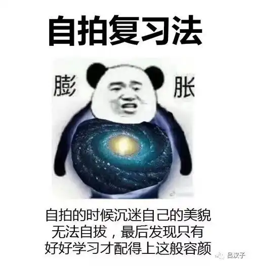 扶朕起来,朕还能学