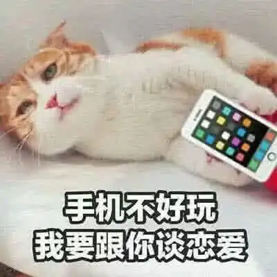 谈恋爱图片表情包搞怪