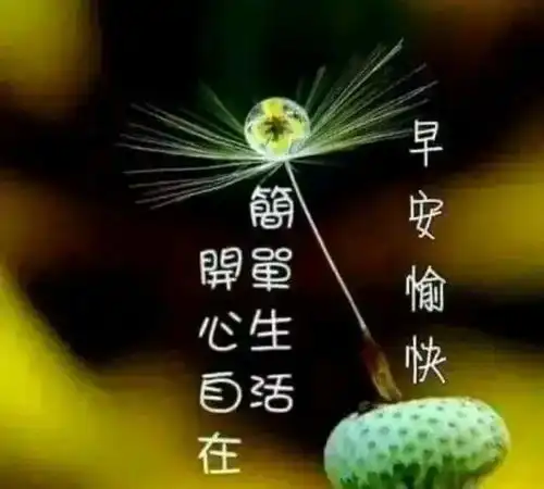 很累的时候,你应该告诉自己你能坚持得住,不要轻易的否定自己