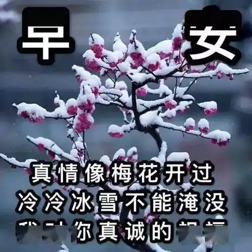 中老年表情包,友情是人生中最美的风景,第一个早安问候送给你