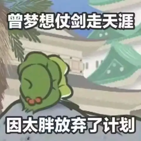 蛙蛙学雅思的日常