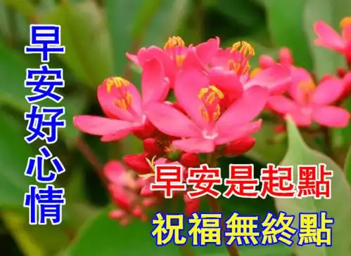 早上好上午好表情图片
