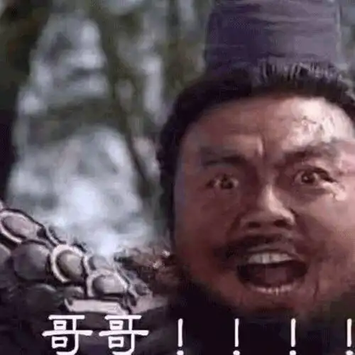 瘦骨嶙峋表情包张飞
