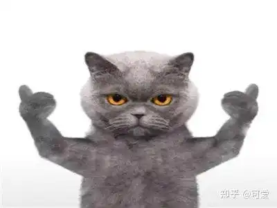 蓝猫精美表情包图片欣赏,蓝猫的动画片有哪些