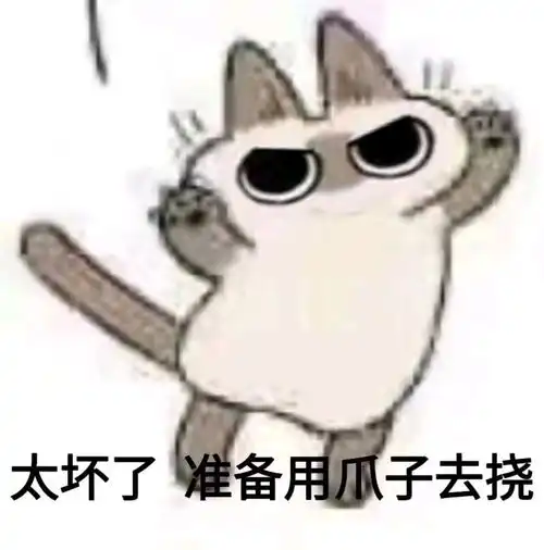 小豆泥表情包大赏