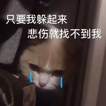 表情包生闷气,你也不哄哄人家