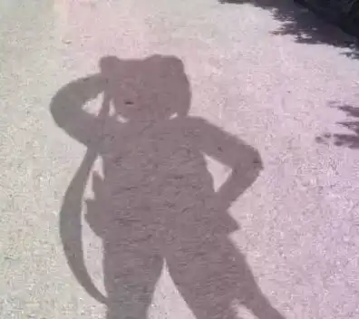 把狗毛剃光光你大概是想杀了它吧