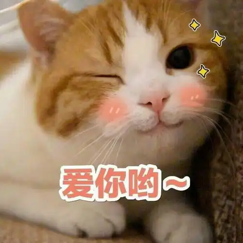 不知道取啥名