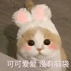 在暨大,怎样才能和漂亮的小姐姐谈恋爱