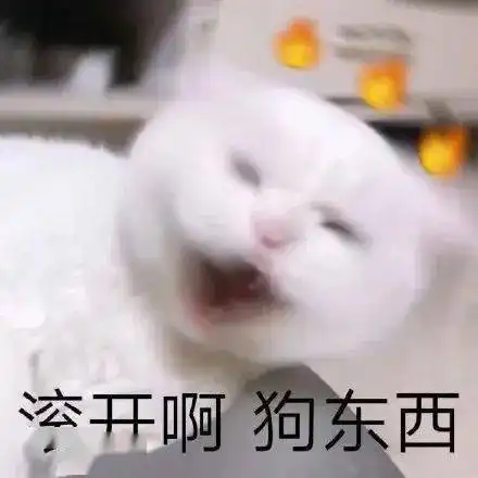 今日份沙雕搞笑表情包