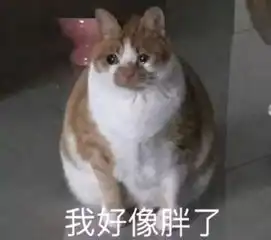 布鲁克表情包沙雕