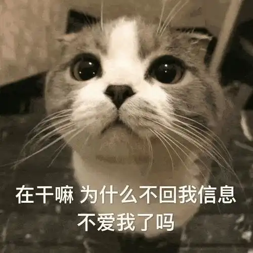 十条段子太能吃得对象不能要