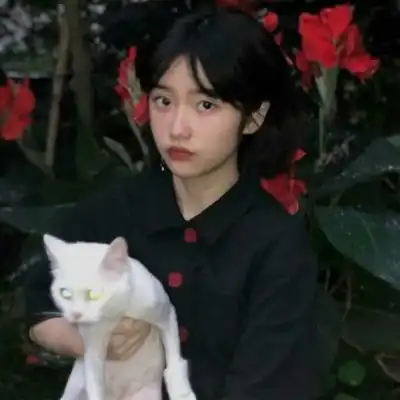 女动漫头像高冷御姐情头
