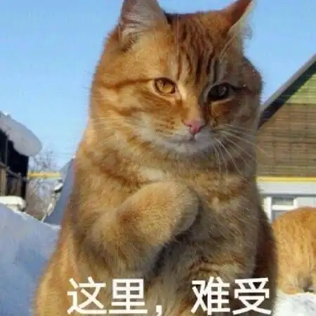 有没有沙雕可爱的朋友圈文案