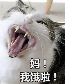 千万不要给你妈发这组表情包,要不然...笑话频道