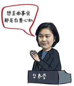 2017外交部表情包来了这些成语又被带火了