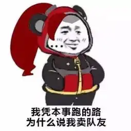 王者荣耀表情包凭自己本事跑的路,为啥说我是卖队友