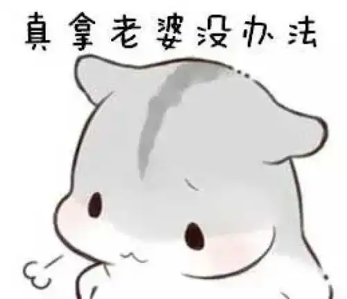 仓鼠表情包我生气啦,哄不好的那种