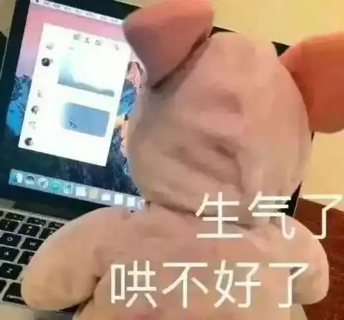 关于道歉求和的句子表情包