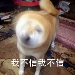 阿阳是我儿子视频直播全集阿阳是我儿子资料大全yy官方