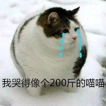 装修公司文案表情包表情