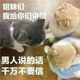 这届不搞男人的单身中年少女,到底为什么活得那么快乐