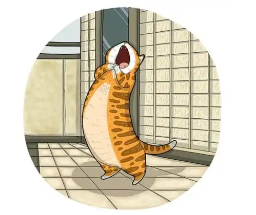 谁说猫的沙雕没救了喏,漫画家早改造好啦