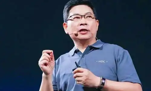 华为正式宣布,芯片禁令虽然无解,但b方案已备好