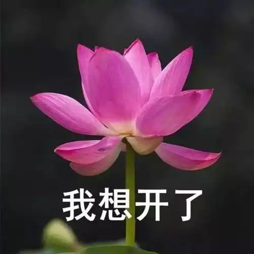 你的小心肝爱护好了吗