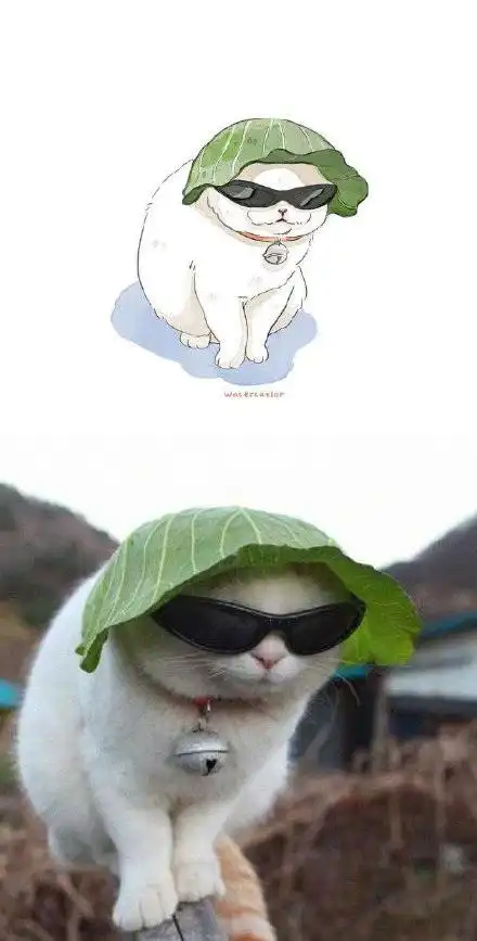 画家用漫画还原沙雕猫咪,不说毫不相干吧,起码是一模一样