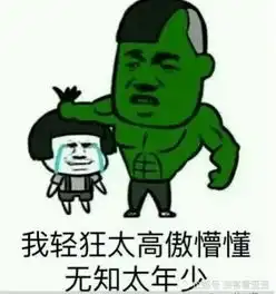 都在挑战mc天佑一人我饮酒醉表情包也来挑战