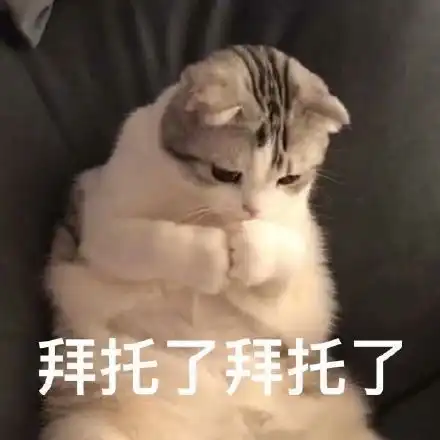 萌宠表情包我可爱吗