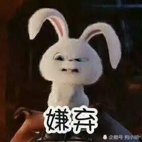 一组猛男专用可爱兔子表情包1