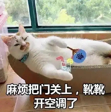 猫咪应该怎么过夏天