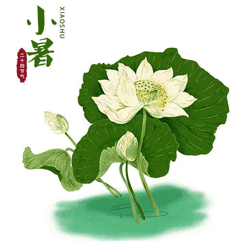 2021小暑漂亮的表情包图片大全,祝大家小暑快乐朋友圈祝福语