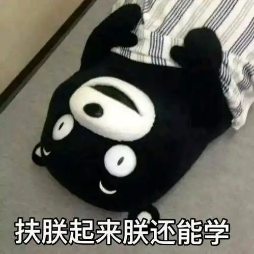 扶朕起来表情包表情