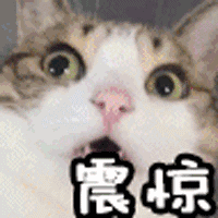 台风温比亚今天将影响启东,注意防范暴雨看看台风现在在哪儿