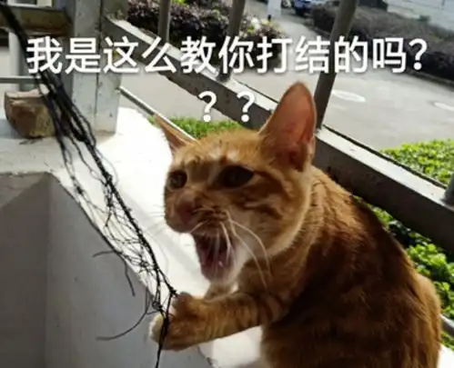为啥医学生不希望别人学医,是怕抢饭碗吗医学生这是为你好